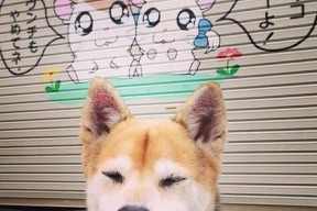 华体会官网-2026世界杯D组首战，阿联酋掀翻中北美劲旅，孙兴慜闪耀全场引领大胜风暴