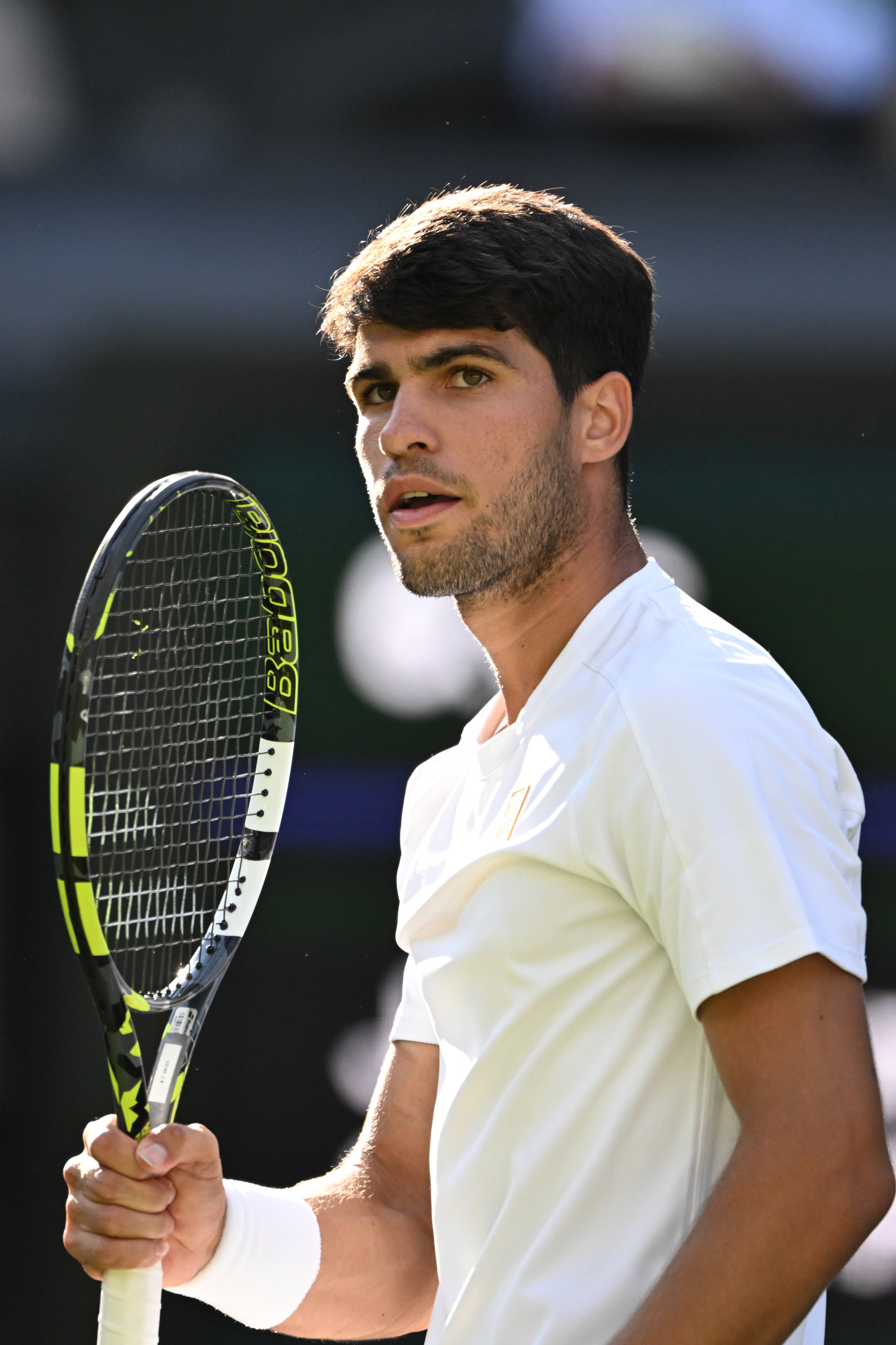 华体会体育-关于法国网球队翻盘世界网球队,阿尔卡拉斯统治全场的信息 第1张 华体会体育-关于法国网球队翻盘世界网球队,阿尔卡拉斯统治全场的信息 第1张