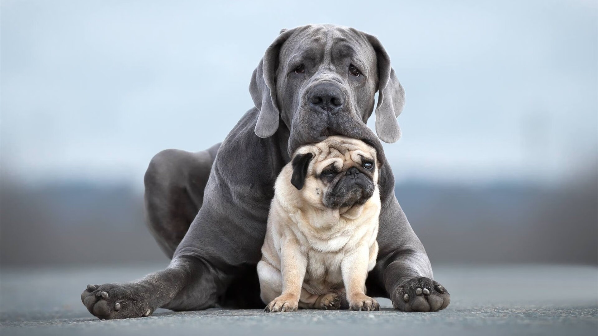 华体会官网-从约基奇的攻防转换权杖，到新疆队的一波流密码  第2张