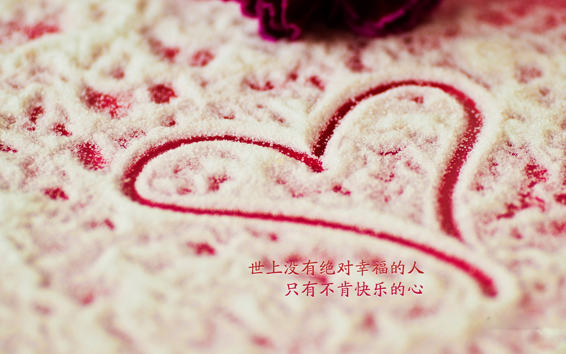 华体会-紫百合风暴，2026世界杯焦点战，佛罗伦萨战术击溃德国战车  第2张